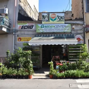 mangiatoie per galline palermo